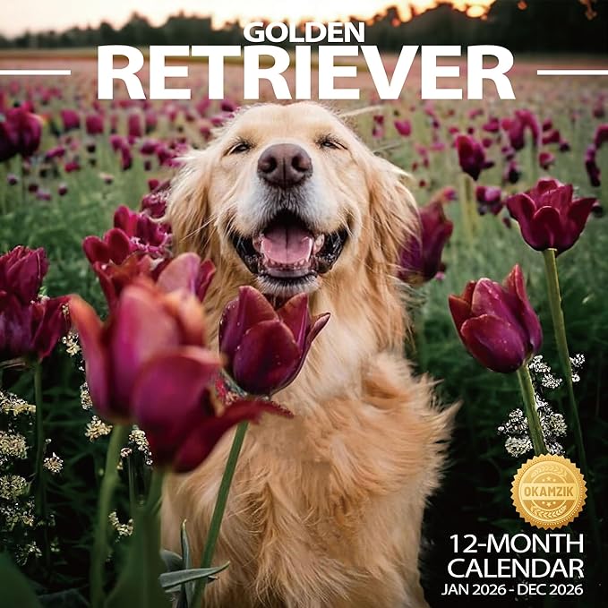 2026 Wall Calendar Golden Retriever Planner Calendar, Hangable Monthly Wall Calendar with Large Blocks for Organizing & Planning, Academic Schedule, Home, Office & family, Thick & Sturdy Paper (12"x24" Open)