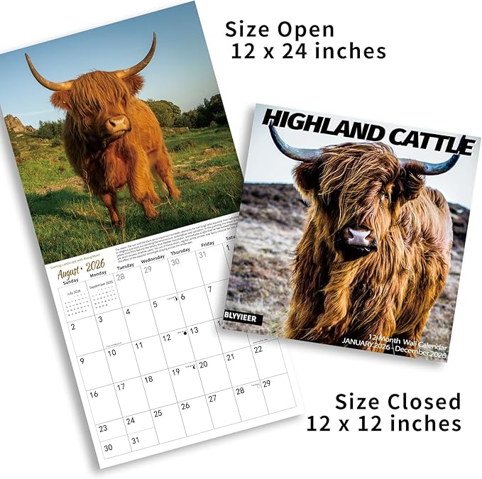 2026 Wall Calendar,Calendar 2026,Highland Cattle Monthly Wall Calendar, 12" x 24" Open,Family Planner Calendar, Home & Office Organizer,Hangable