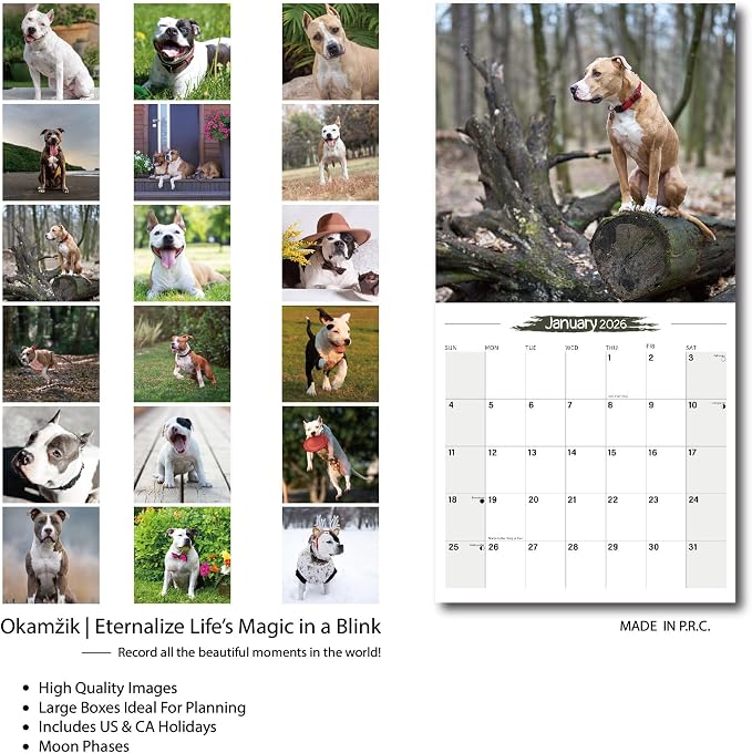 2025-2026 Wall Calendar American Staffordshire Terrier Planner Calendar, Hangable Monthly Wall Calendar with Large Blocks for Organizing & Planning, Academic Schedule, Home, Office & family, Thick & Sturdy Paper (12"x24" Open)