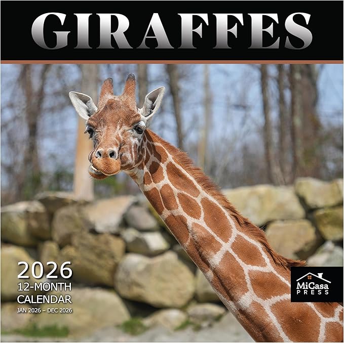 MICASA PRESS Giraffes 2026 Wall Calendar 12 Month | 12” x 24” Open | Thick & Sturdy Paper | Giftable | Animal Calendar 2026