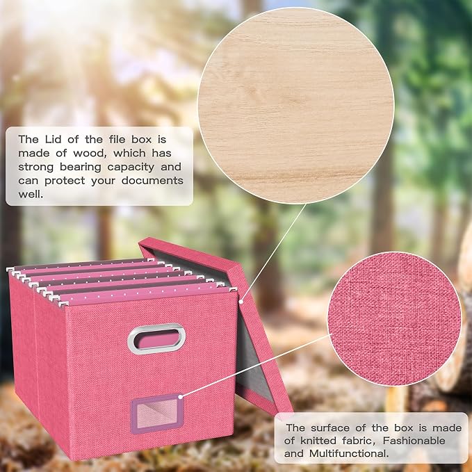Oterri 2 Pack File Storage Organizer Box,Filing Box,Portable File Box with Lid,Fit for Letter/Legal File Folder Storage,Hot-pink-Box only