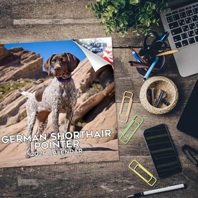 German Shorthair Pointer Calendar 2026 by MegaCalendars – Monthly Dog Breed Wall Calendar, Made in USA