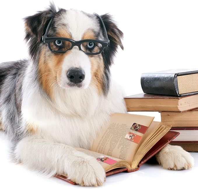 30 Pcs Magnetic Dog Bookmarks Cute Puppy Magnet Bookmark Clips for Reading Men Women Kids Teacher Book Lovers Gifts, Unique Personalized Bookmarks Bulk Pretty Funny Novelty Page Markers for Dog Lovers