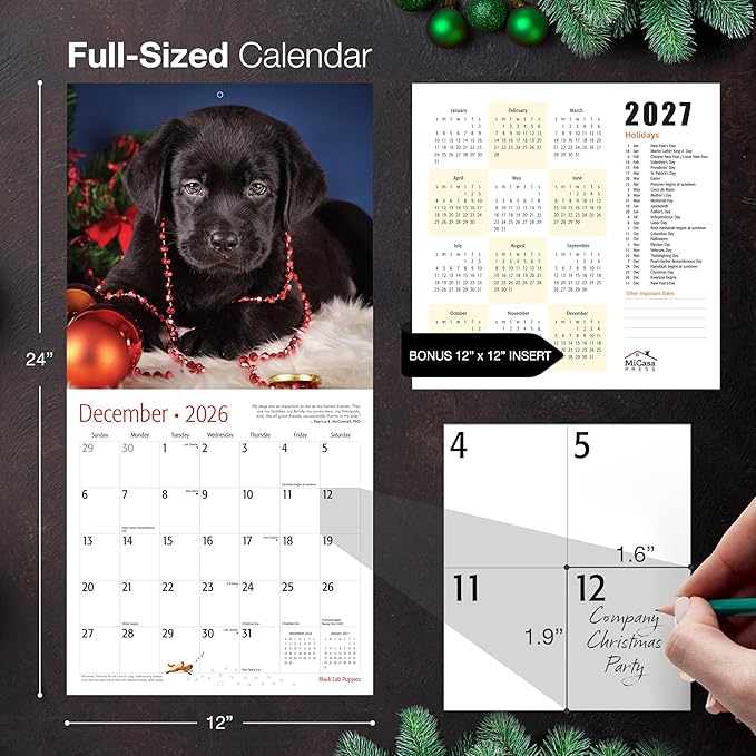 MICASA PRESS Black Lab Puppies 2026 Wall Calendar 12 Month | 12" x 24" Open | Thick & Sturdy Paper | Giftable | Cute Labrador Retriever Puppy Dog Calendar 2026