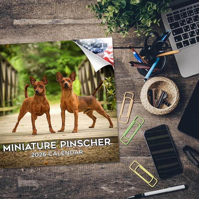 Miniature Pinscher Calendar 2026 by MegaCalendars – Monthly Dog Breed Wall Calendar, Made in USA
