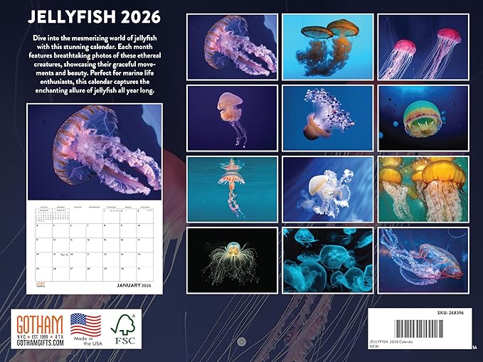 Jellyfish Calendar 2026 Monthly Wall Calender 12 Month | American Made In The USA