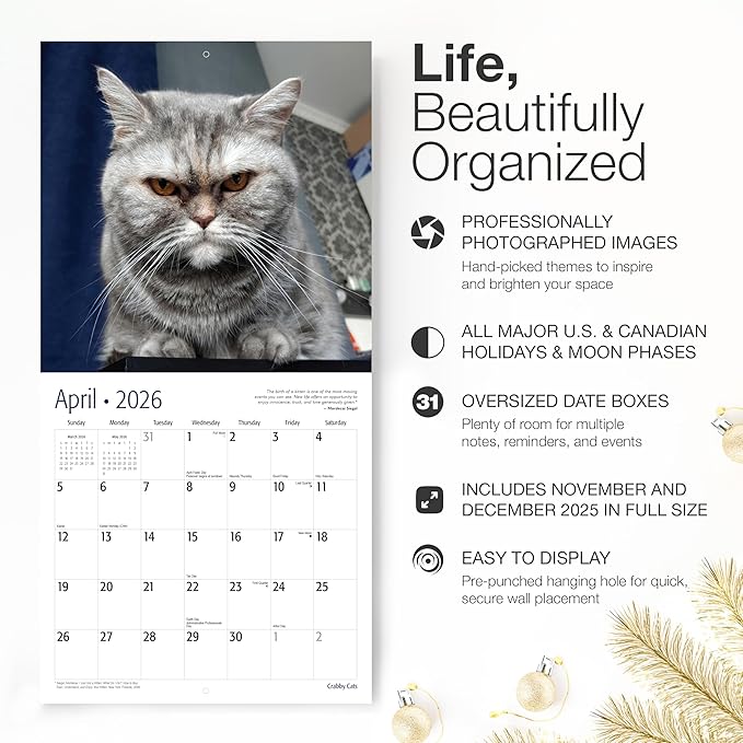 RED EMBER Crabby Cats 2026 Wall Calendar 12 Month | 12" x 24" Open | Thick & Sturdy Paper | Giftable | Funny Kitten Cat Calendar 2026