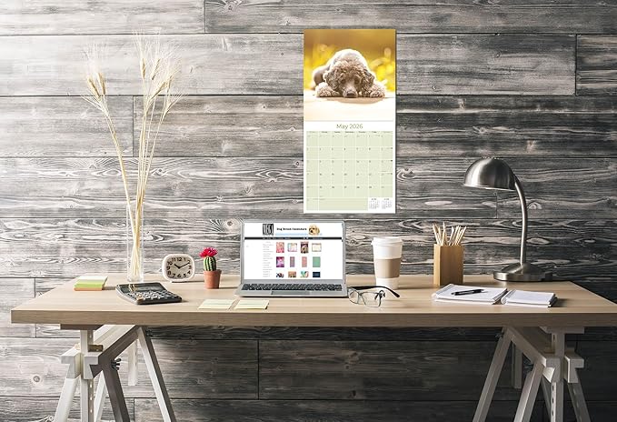 Poodle Calendar 2026 – 16-Month Dog Breed Wall Calendar by MegaCalendars – Large Daily Blocks, Thick No-Bleed Paper, Made in USA