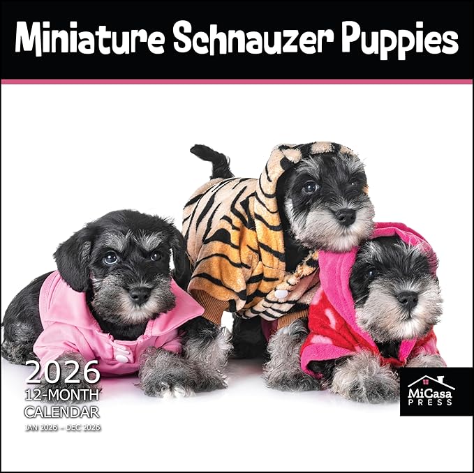 MICASA PRESS Miniature Schnauzer Puppies 2026 Wall Calendar 12 Month | 12" x 24" Open | Thick & Sturdy Paper | Giftable | Cute Puppy Dog Calendar 2026