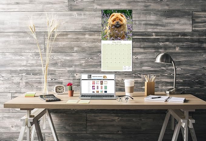 Chow Chow Calendar 2026 by MegaCalendars – Monthly Dog Breed Wall Calendar, Made in USA