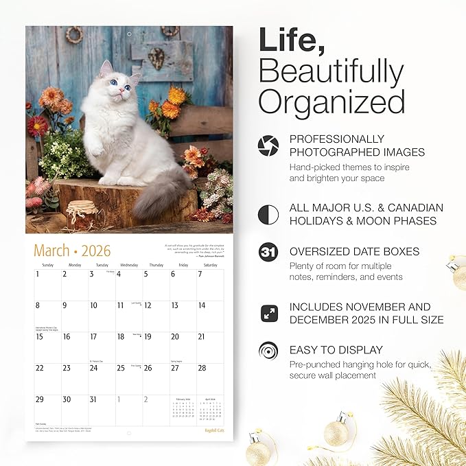 RED EMBER Ragdoll Cats 2026 Wall Calendar 12 Month | 12" x 24" Open | Thick & Sturdy Paper | Giftable | Cute Kitten Cat Calendar 2026