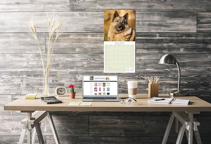Norwegian Elkhound Calendar 2026 by MegaCalendars – Monthly Dog Breed Wall Calendar, Made in USA
