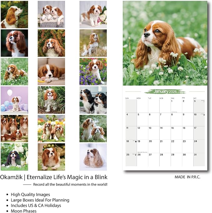 2025-2026 Wall Calendar Cavalier King Charles Spaniel Planner Calendar, Hangable Monthly Wall Calendar with Large Blocks for Organizing & Planning, Academic Schedule, Home, Office & family, Thick & Sturdy Paper (12"x24" Open)