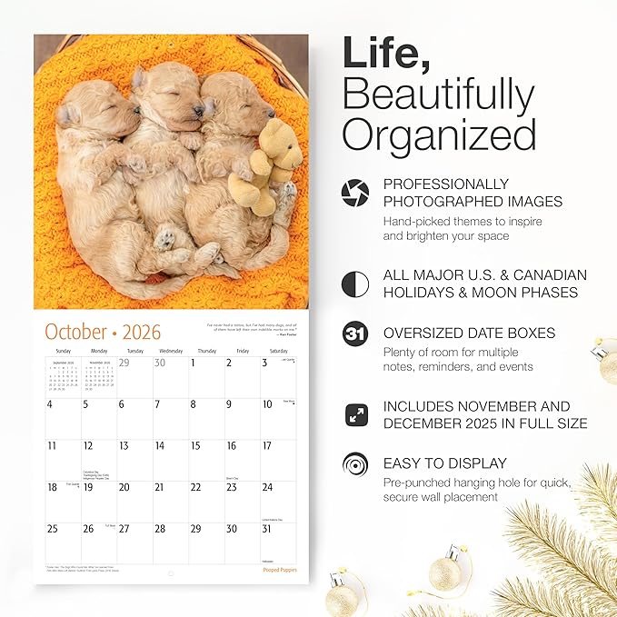 RED EMBER Pooped Puppies 2026 Wall Calendar 12 Month | 12" x 24" Open | Thick & Sturdy Paper | Giftable | Cute Funny Puppy Dog Calendar 2026