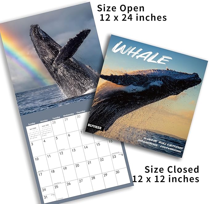 2026 Wall Calendar,Whale Calendar 2026 Monthly Wall Calendar, 12" x 24" Open,Family Planner Calendar Organizer with Whale Images