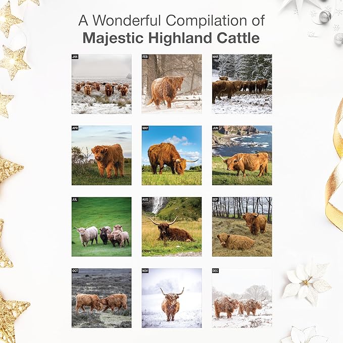 RED EMBER Select - Highland Cattle 2026 Wall Calendar 12 Month | 12" x 24" Open | Thick & Sturdy Paper | Giftable | Cow Animal Calendar 2026