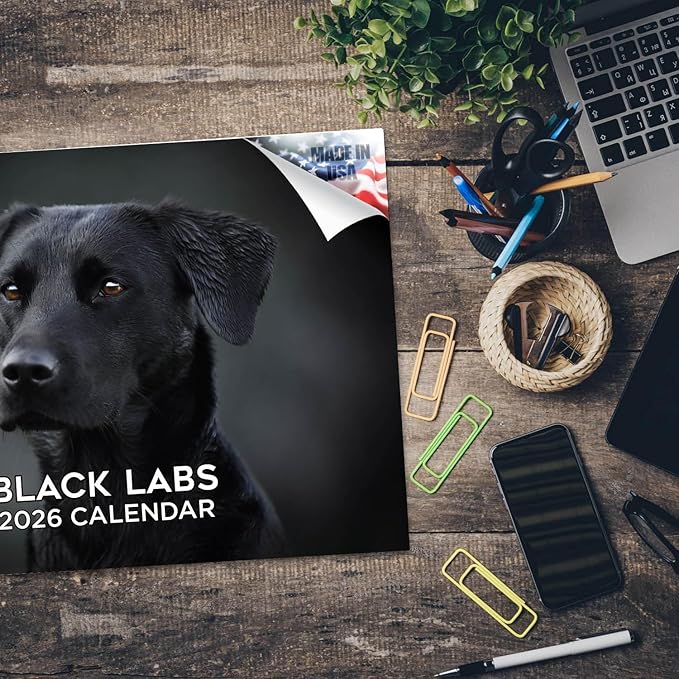 2025 2026 Labrador Black Calendar - Dog Breed Monthly Wall Calendar - 12" x 18" Open - Thick No-Bleed Paper - Giftable - Academic Teacher's Planner Calendar Organizing & Planning - Made in USA