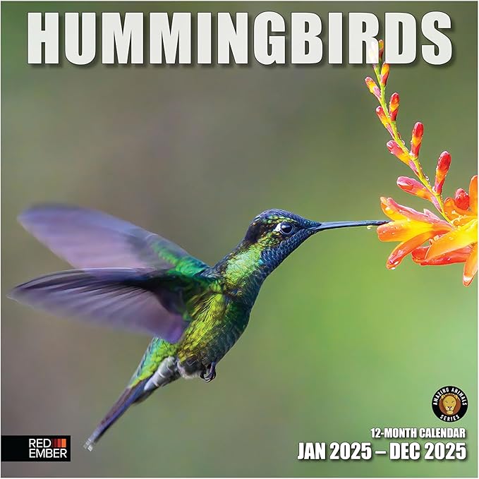 RED EMBER Hummingbirds 2025 Wall Calendar 12 Month | 12" x 24" Open | Thick & Sturdy Paper | Giftable | Calendar 2025