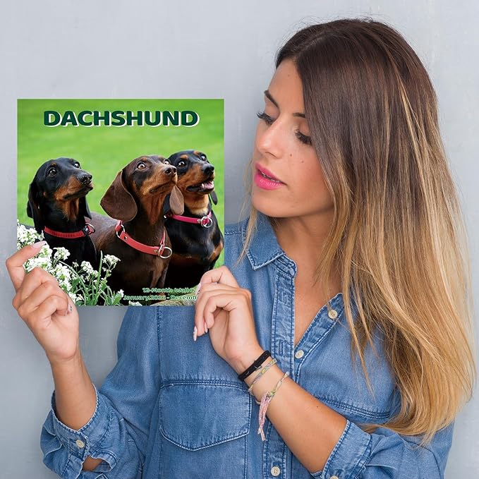 2026 Wall Calendar,Dachshund Wall Calendar, 12" x 24" Open,Family Planner Calendar Organizer with Dachshund Images, for Dogs Lovers