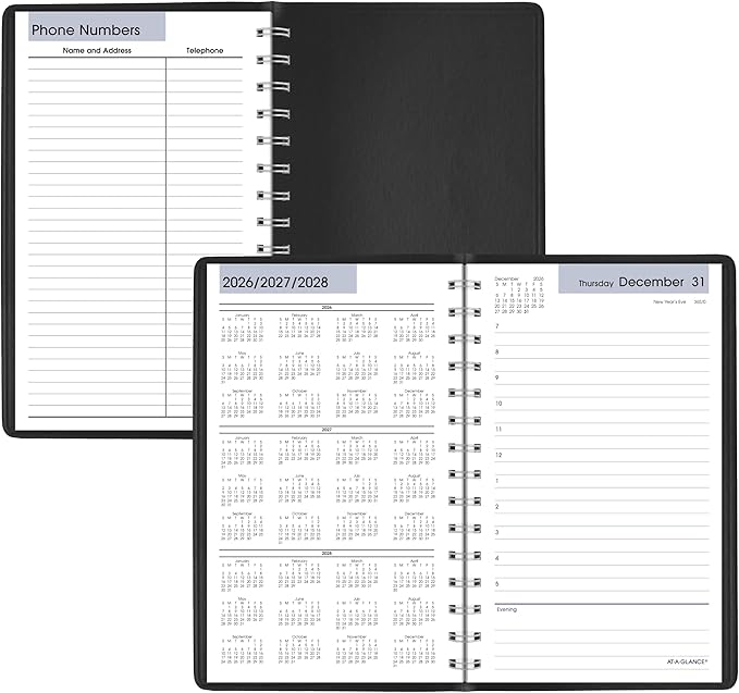 AT-A-GLANCE 2027 Appointment Book Planner, Daily, 5" x 8", Hourly, DayMinder, Black (SK440027)