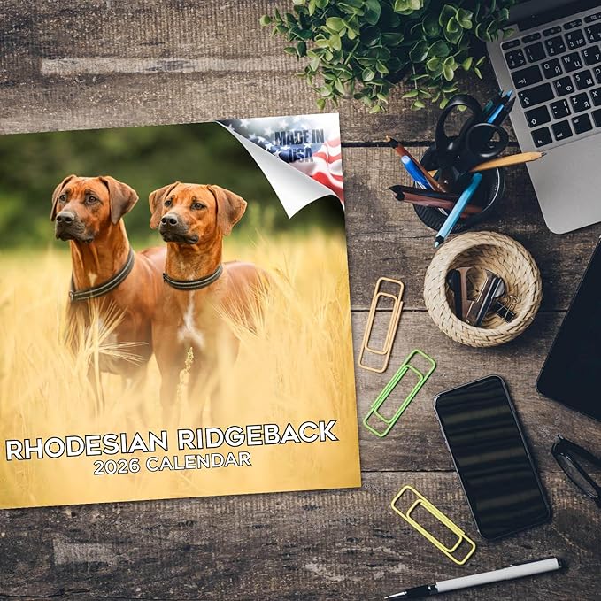 Rhodesian Ridgeback Calendar 2026 by MegaCalendars – Monthly Dog Breed Wall Calendar, Made in USA
