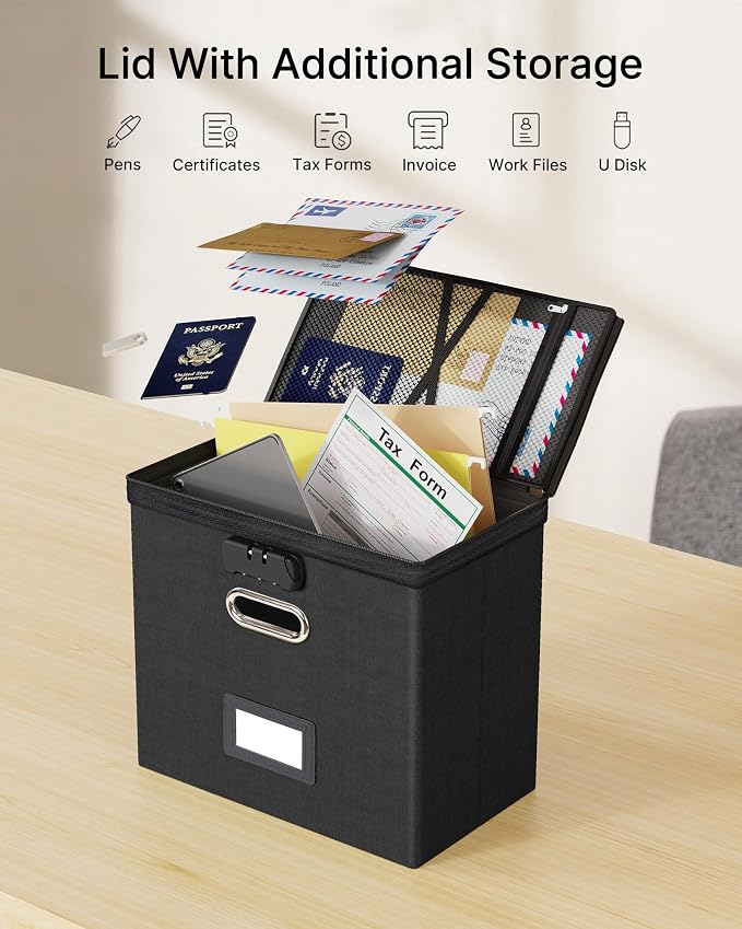 Oterri File Organizer Boxes with Lids, File Box with Mesh Pockets for Letter Size Folders, Lockable Zippers Filing Box for Home,Office, School (Black, Small-L-1 Pack Without Folders)