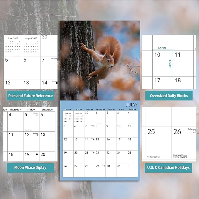 2026 Wall Calendar,Squirrel Calendar 2026,Squirrel Monthly Wall Calendar, 12" x 24" Open,Family Planner Calendar, Home & Office Organizer,Hangable