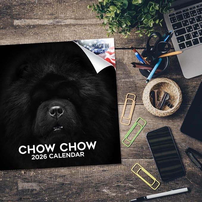 Chow Chow Calendar 2026 by MegaCalendars – Monthly Dog Breed Wall Calendar, Made in USA