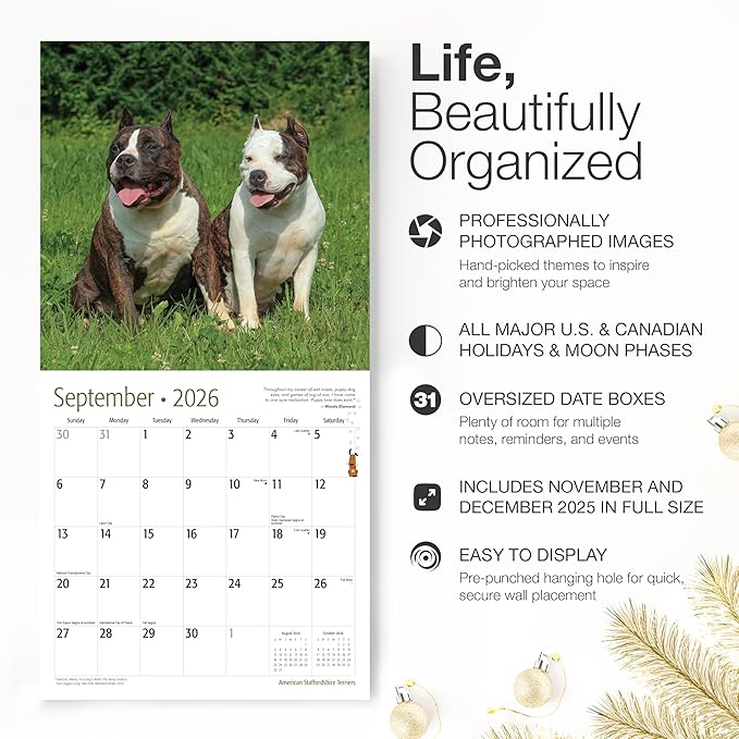 RED EMBER American Staffordshire Terriers 2026 Wall Calendar 12 Month | 12" x 24" Open | Thick & Sturdy Paper | Giftable | Cute Puppy Dog Calendar 2026