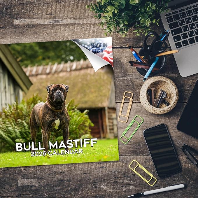 Bull Mastiff Calendar 2026 by MegaCalendars – Monthly Dog Breed Wall Calendar, Made in USA