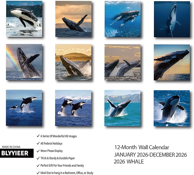 2026 Wall Calendar,Whale Calendar 2026 Monthly Wall Calendar, 12" x 24" Open,Family Planner Calendar Organizer with Whale Images