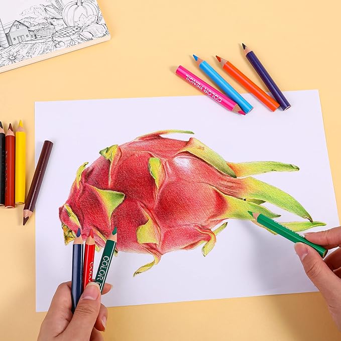 Triangular Jumbo Color Pencils, Short Fat Pre-Sharped Colored Pencils with Pencil Sharpener and Eraser,Gift for Student Drawing and Doodling（12 Colors）