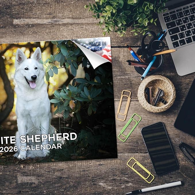 2025 2026 White Shepherd Calendar - Dog Breed Monthly Wall Calendar - 12" x 18" Open - Thick No-Bleed Paper - Giftable - Academic Teacher's Planner Calendar Organizing & Planning