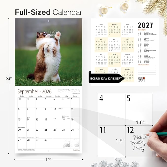 RED EMBER Ragdoll Cats 2026 Wall Calendar 12 Month | 12" x 24" Open | Thick & Sturdy Paper | Giftable | Cute Kitten Cat Calendar 2026