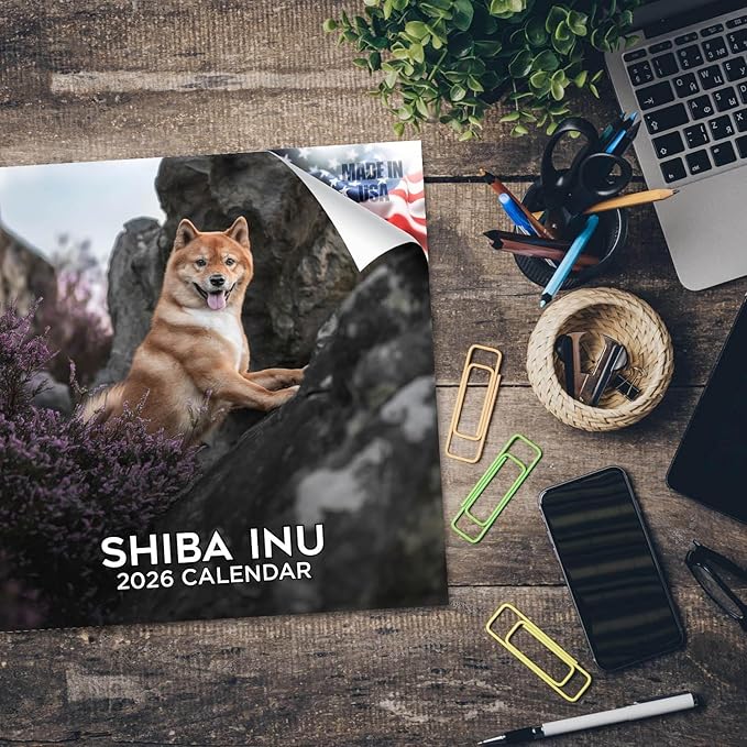 Shiba Inu Calendar 2026 by MegaCalendars – Monthly Dog Breed Wall Calendar, Made in USA