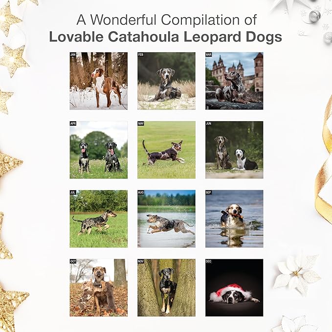RED EMBER Catahoula Leopard Dogs 2026 Wall Calendar 12 Month | 12" x 24" Open | Thick & Sturdy Paper | Giftable | Cute Puppy Dog Calendar 2026