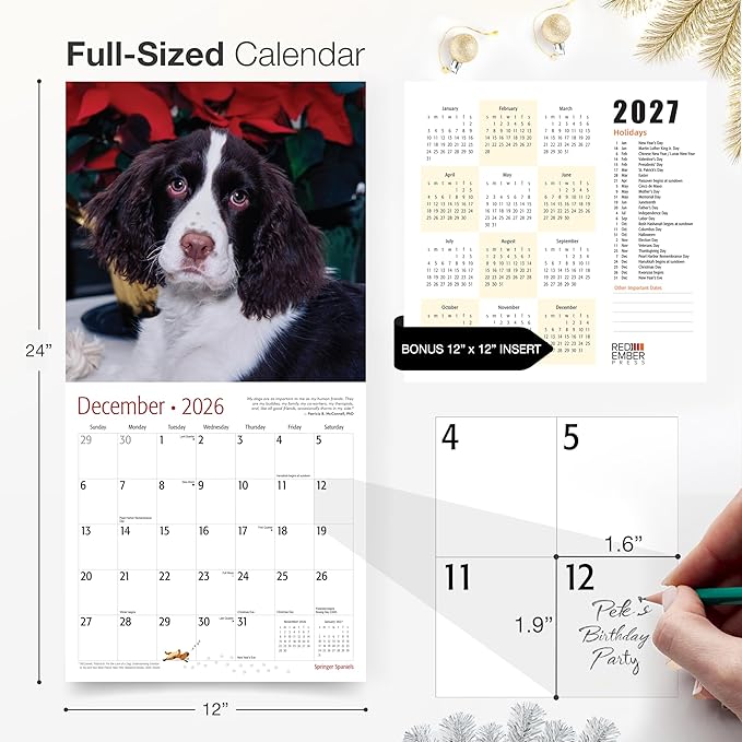 RED EMBER Springer Spaniels 2026 Wall Calendar 12 Month | 12" x 24" Open | Thick & Sturdy Paper | Giftable | Cute Puppy Dog Calendar 2026