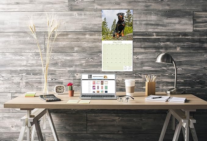 Rottweiler Calendar 2026 by MegaCalendars – Monthly Dog Breed Wall Calendar, Made in USA