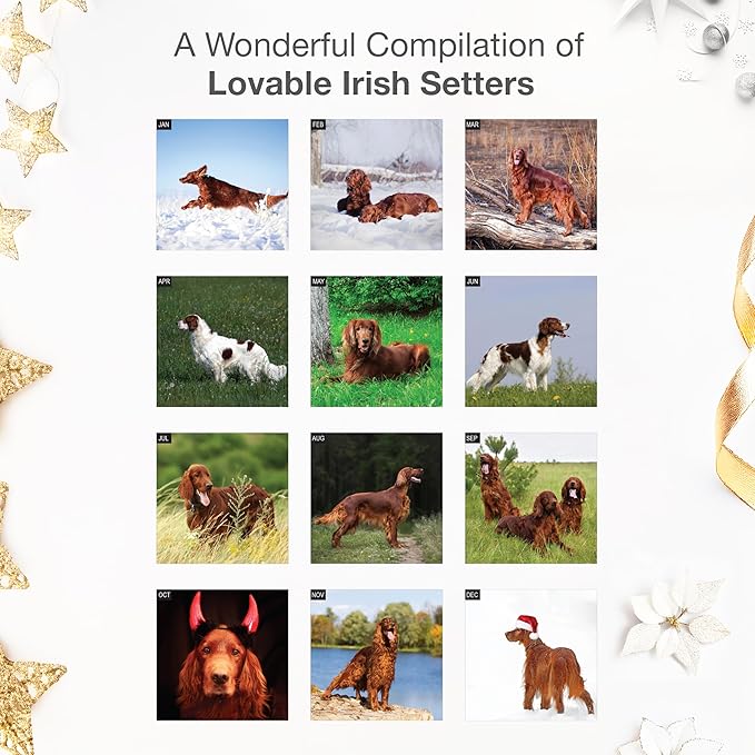 RED EMBER Irish Setters 2026 Wall Calendar 12 Month | 12" x 24" Open | Thick & Sturdy Paper | Giftable | Cute Puppy Dog Calendar 2026