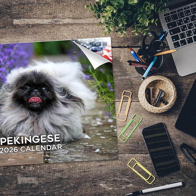 2025 2026 Pekingese Calendar - Dog Breed Monthly Wall Calendar - 12" x 18" Open - Thick No-Bleed Paper - Giftable - Academic Teacher's Planner Calendar Organizing & Planning - Made in USA
