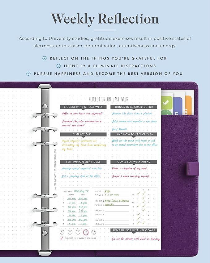 LUX PRO A5 - Daily Planner & appointment diary 2024 - Gratitude journal, wellness journal & Undated weekly planners and organisers - Desk journals for women & men - LUX Productivity (Purple Mulberry)