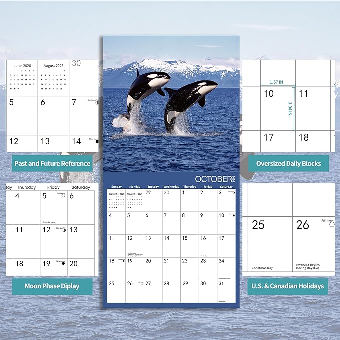 2026 Wall Calendar,Whale Calendar 2026 Monthly Wall Calendar, 12" x 24" Open,Family Planner Calendar Organizer with Whale Images