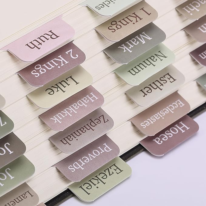 Mr. Pen- Bible Tabs, 75 Tabs, Laminated Bible Tabs for Women and Men, Bible Tabs for Study Bible, Large Print Bible Index Tabs, Bible Book Tabs, Bible Labels Tabs, Mr Pen Bible Tabs