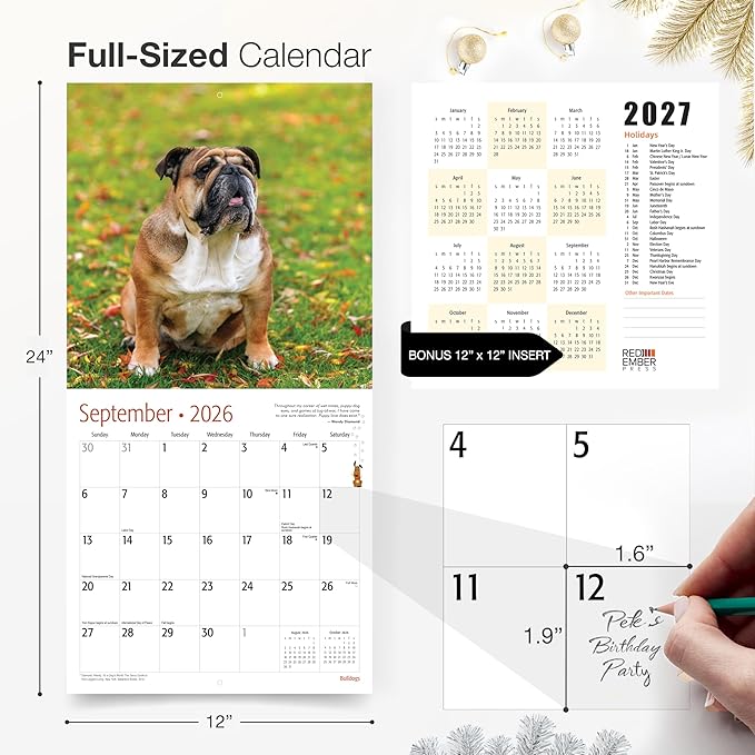 RED EMBER English and American Bulldogs 2026 Wall Calendar 12 Month | 12" x 24" Open | Thick & Sturdy Paper | Giftable | Cute Puppy Dog Calendar 2026