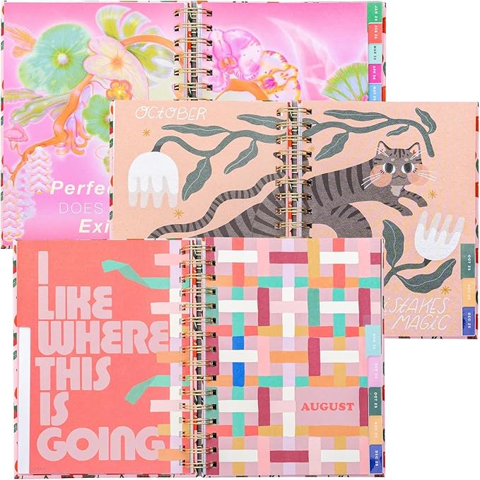 ban.do 17-Month Medium Daily and Weekly Planner August 2025 - December 2026, Hard Cover Spiral Agenda with Monthly Calendar, Stickers, Art & Bonus Pages (Mid Century)