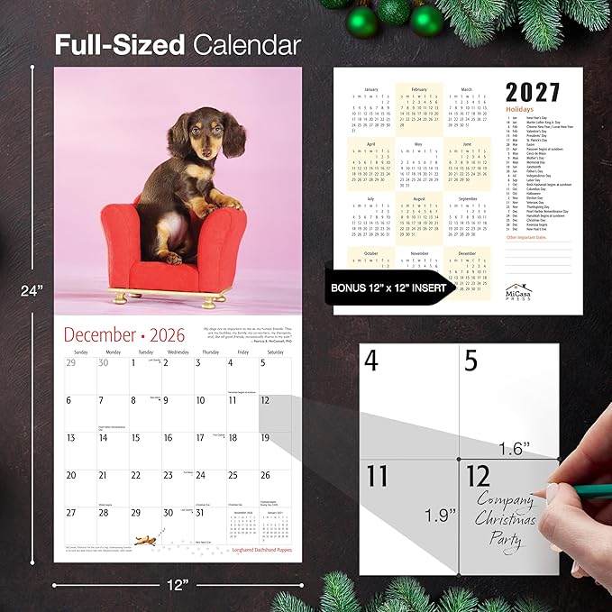 MICASA PRESS Longhaired Dachshund Puppies 2026 Wall Calendar 12 Month | 12" x 24" Open | Thick & Sturdy Paper | Giftable | Cute Weiner Puppy Dog Calendar 2026