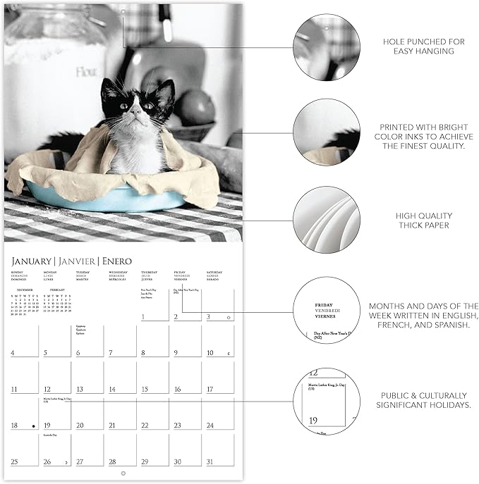 Graphique 2026 Classic Cats Mini Wall Calendar | 7” x 7” | Thick Paper | Home & Office Organizer | Large Monthly Grid | 3 Languages & Marked Holidays | 4 Month Preview Page for 2027