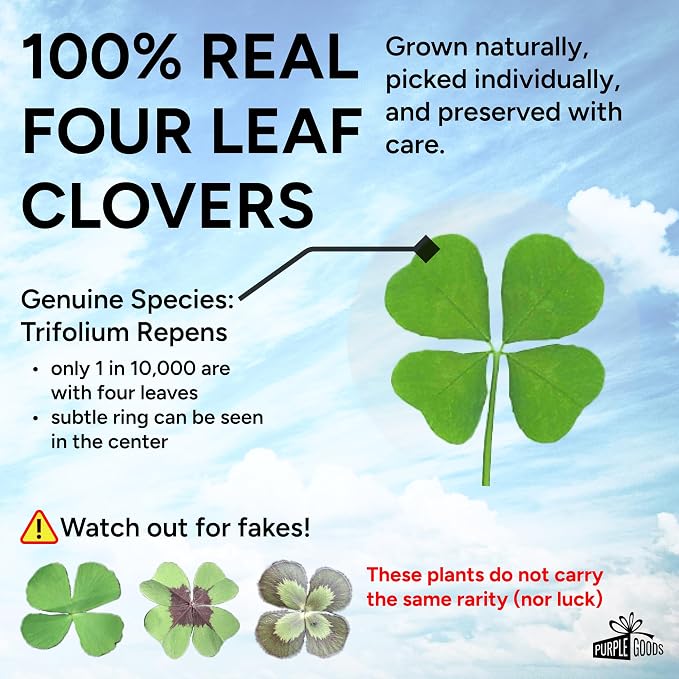 Real Four Leaf Clover Black Pocket Token - Lucky Token, U.S Half Dollar Coin Sized - Genuine 4 Leaf Clover Good Luck Charm - Perfect as Good Luck Gifts