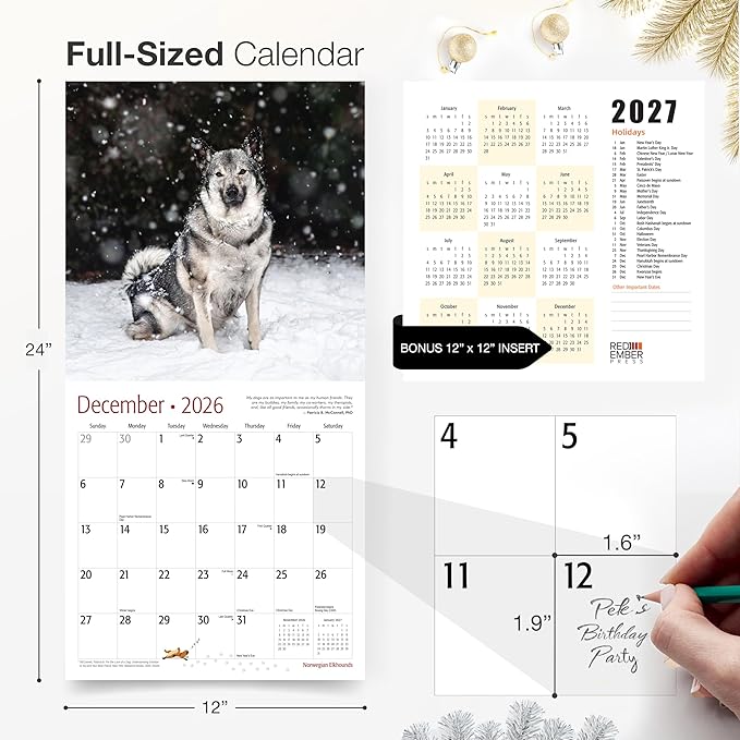 RED EMBER Norwegian Elkhounds 2026 Wall Calendar 12 Month | 12" x 24" Open | Thick & Sturdy Paper | Giftable | Cute Puppy Dog Calendar 2026