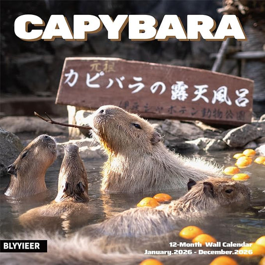 2026 Wall Calendar,Capybara Calendar 2026, Monthly Wall Calendar, 12" x 24" Open,Family Planner Calendar Organizer with funny capybara Images